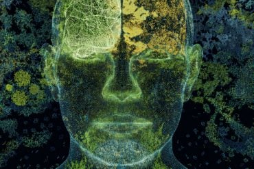 This shows a head and a brain.