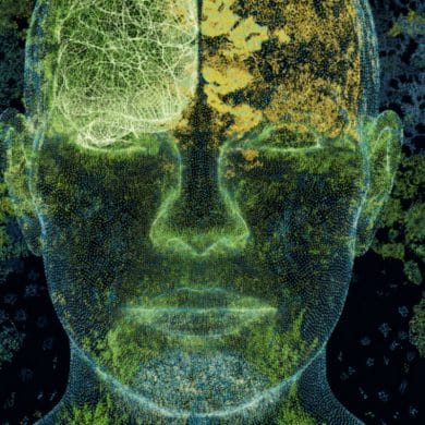 This shows a head and a brain.