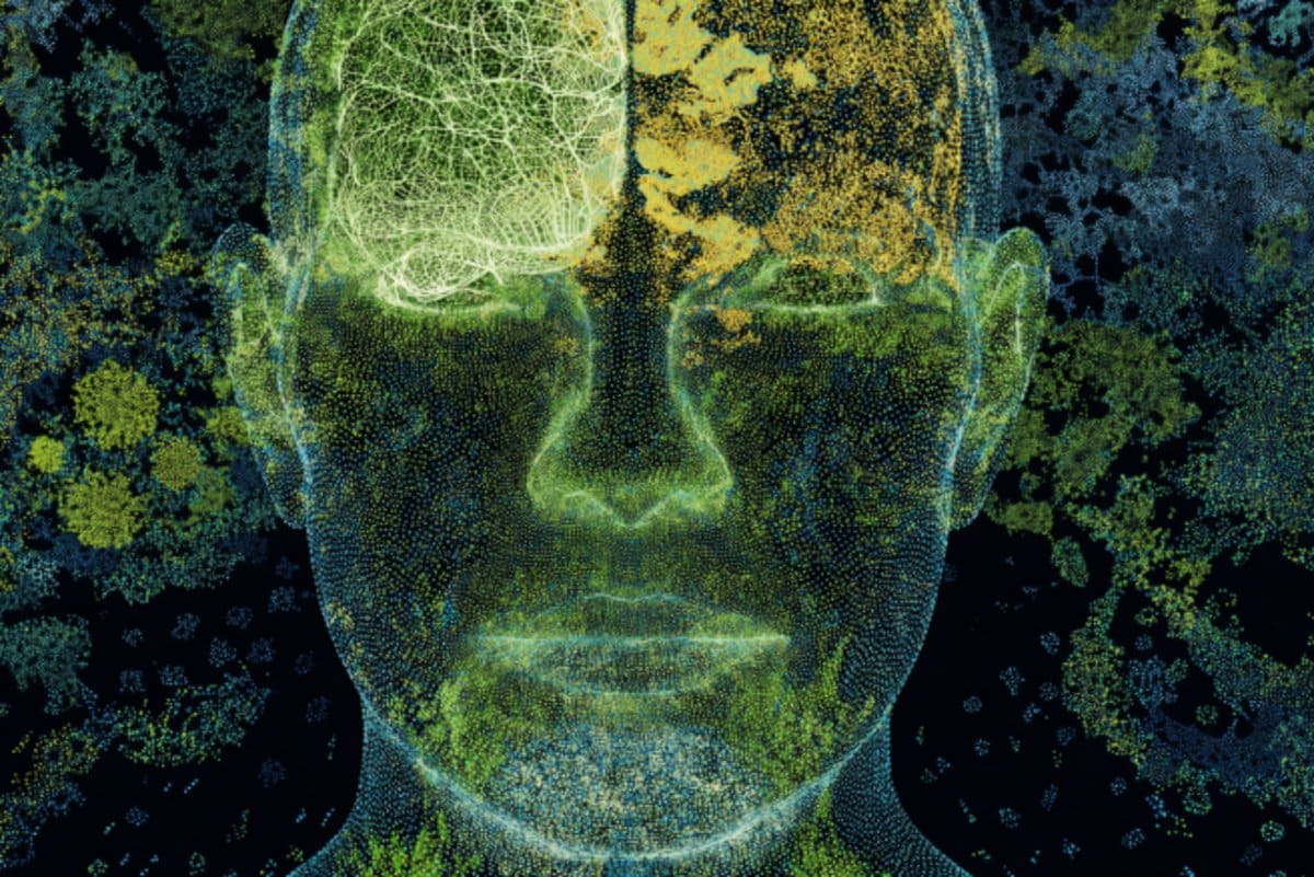 This shows a head and a brain.