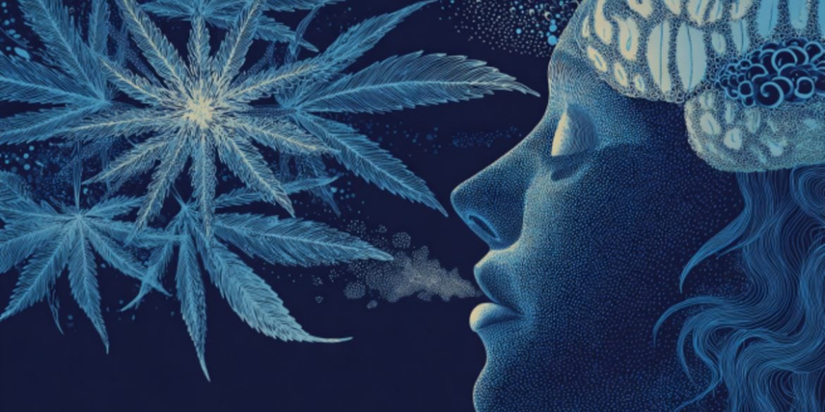 This shows a person's head and leaves.