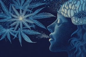 This shows a person's head and leaves.