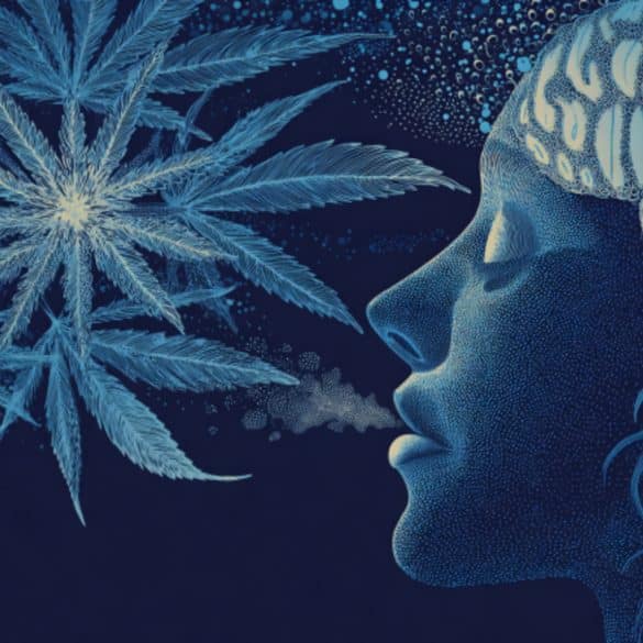 This shows a person's head and leaves.