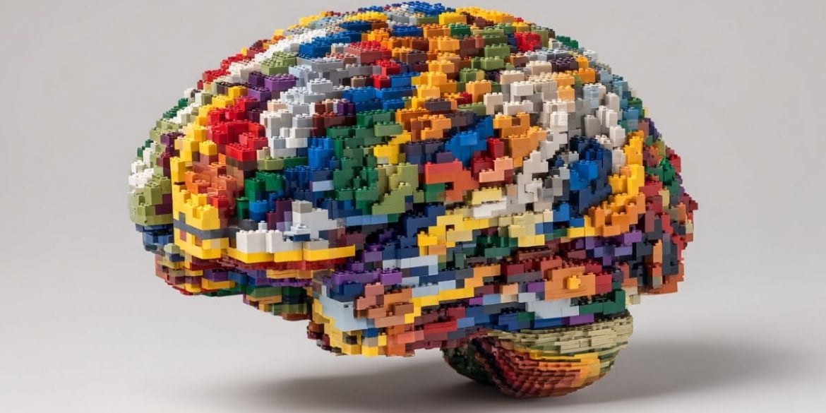 This shows a brain made of legos.