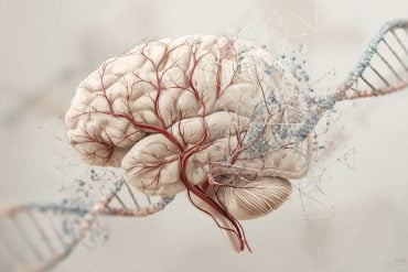 This shows a brain and DNA.