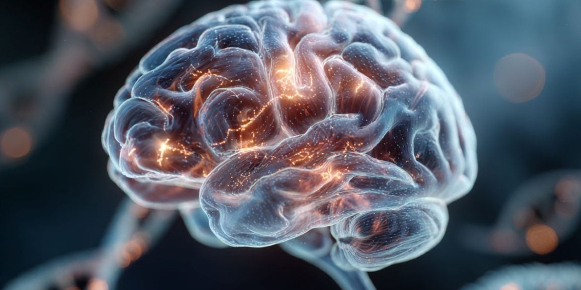 This shows a brain and dna.