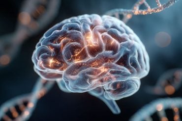 This shows a brain and dna.