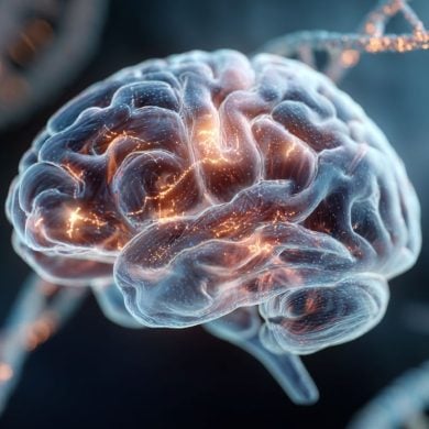 This shows a brain and dna.