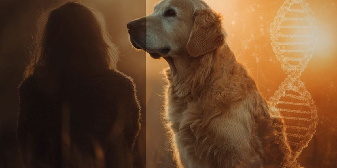 This shows a dog, DNa and a person.