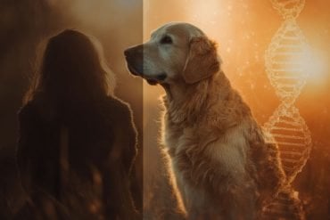 This shows a dog, DNa and a person.