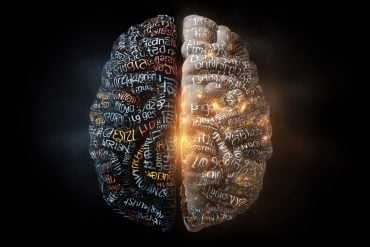 This shows a brain covered in words.
