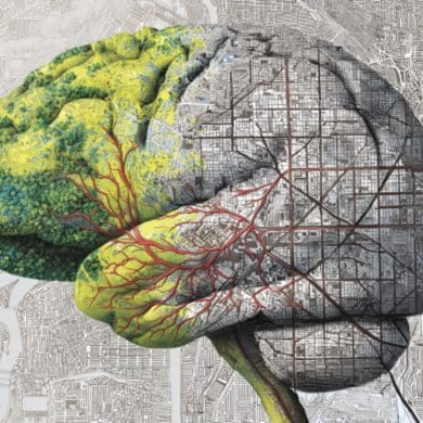 This shows a brain and a map overlay.