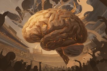 This shows a brain in a football stadium.