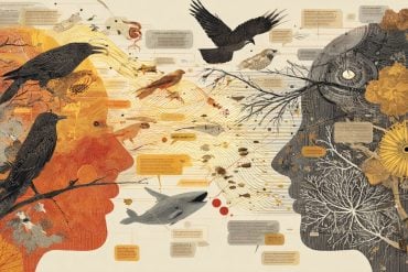 This shows two heads and speech bubbles.