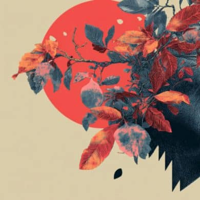 This shows an older man's head.