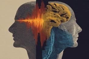 This shows two heads and a brain.