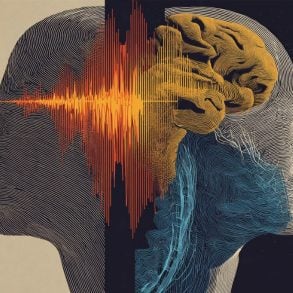 This shows two heads and a brain.