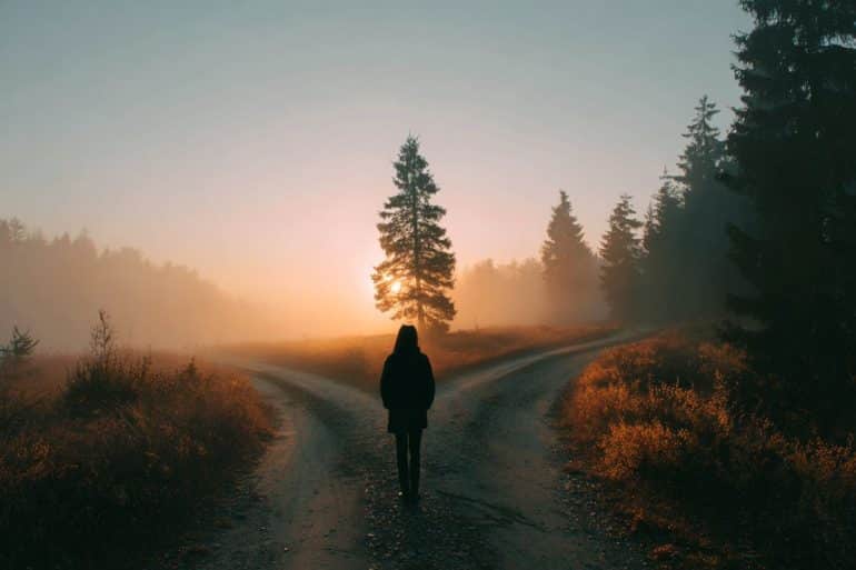 This shows a person in a forest standing at a crossroads.