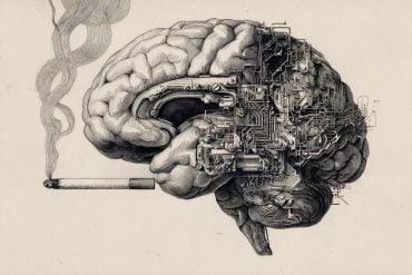 This shows a brain and a cigarette.