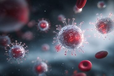 This shows the HIV virus and blood cells.