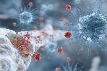 This shows a neuron and bacteria.