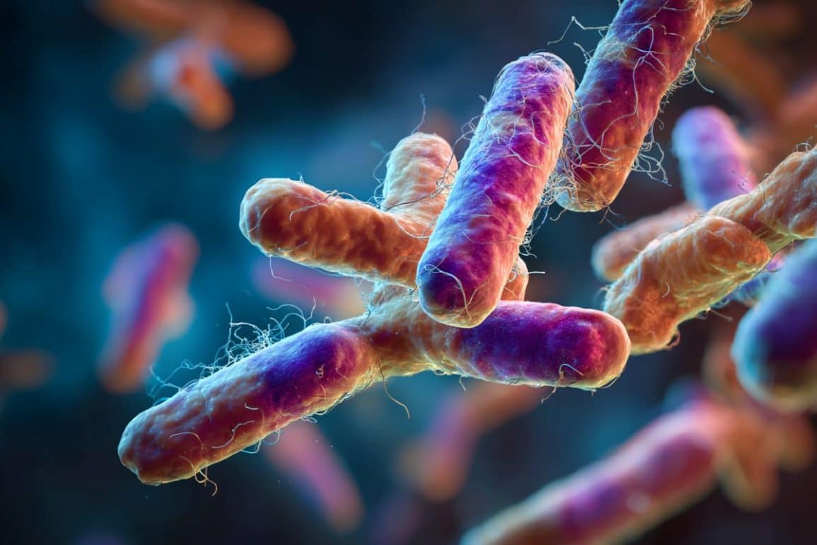 Is Your Oral Bacteria Influencing Multiple Sclerosis?