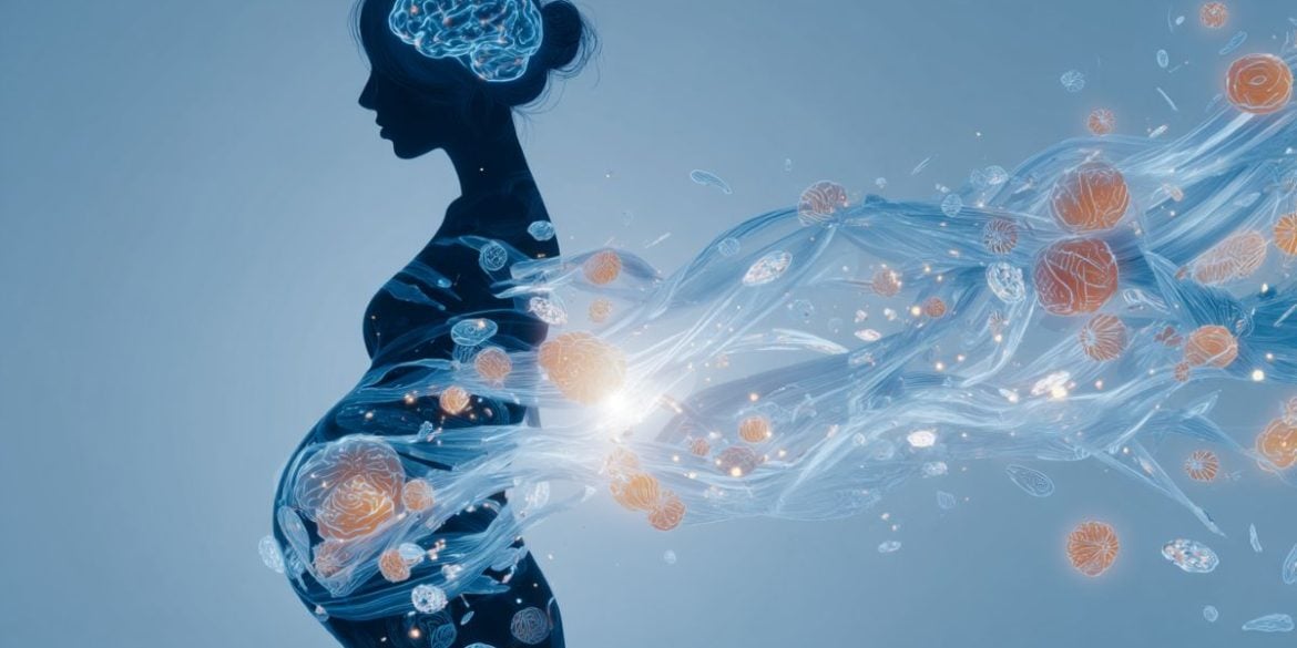 This shows a pregnant woman.