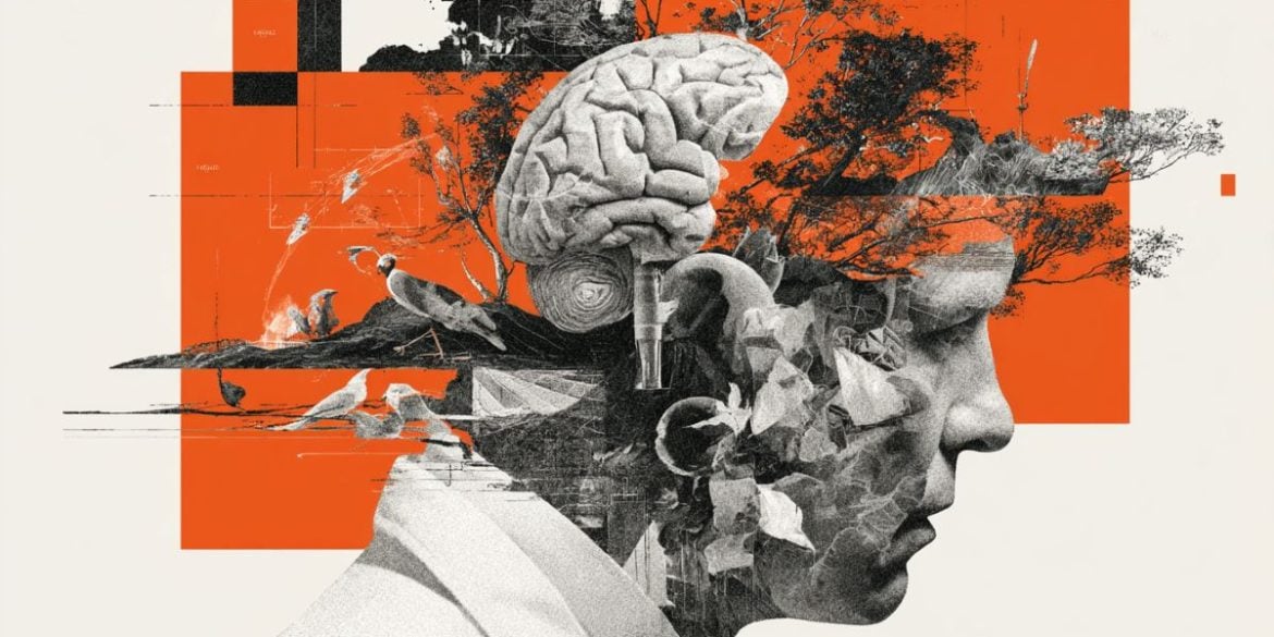 This shows a head and a brain.