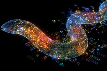 This shows a worm digitized.