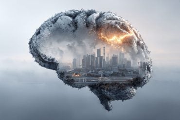 This shows the outline of a brain with industrial, smoggy buildings in the background, implying the link between air pollution and Alzheimer's disease.