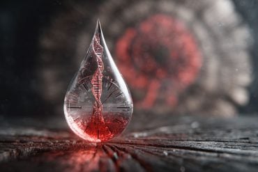 This shows a blood drop with a clock and DNA inside it.