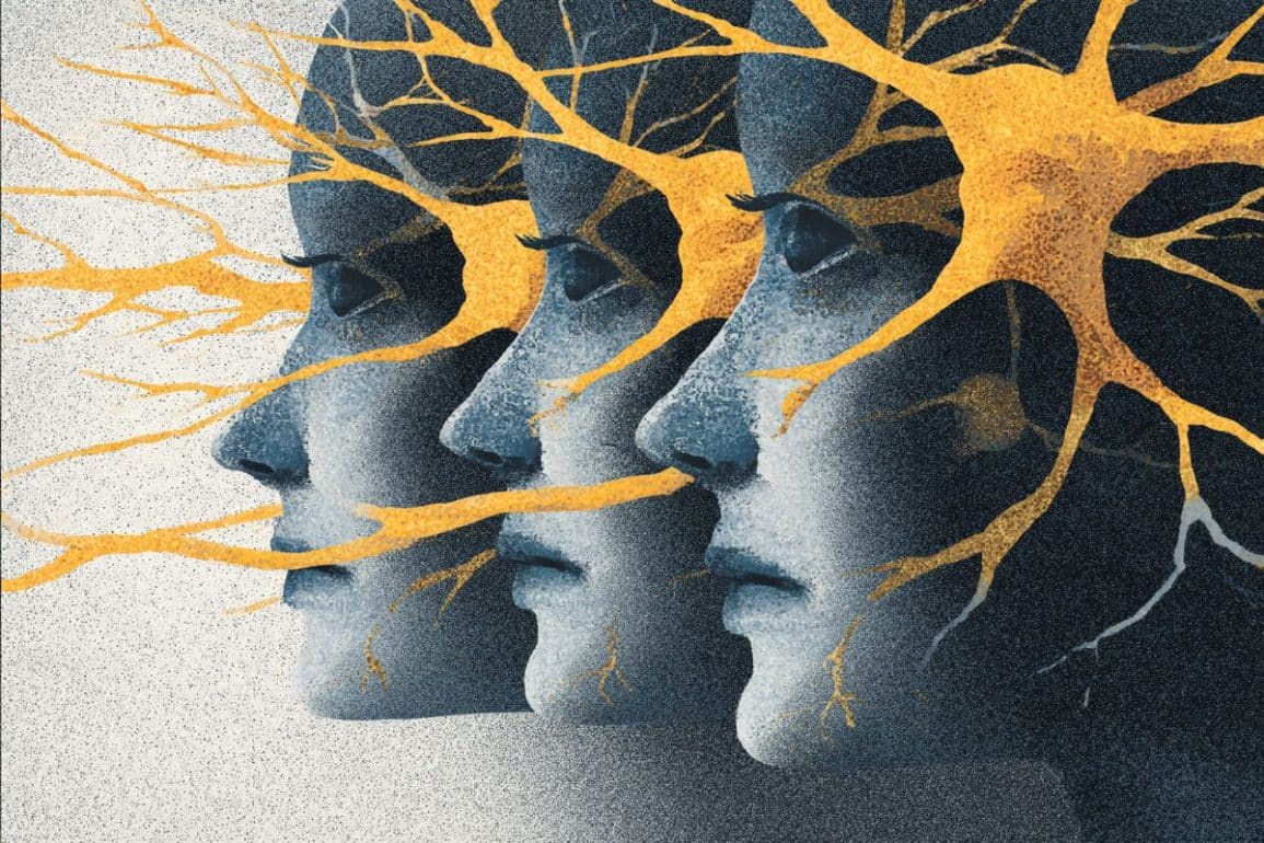 This shows three heads and neurons.