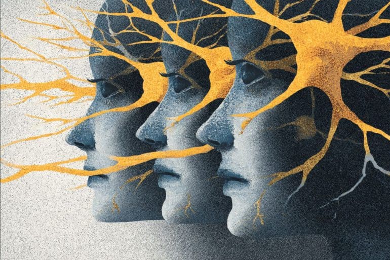 This shows three heads and neurons.