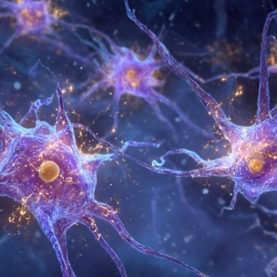 This is an AI representation of astrocytes in the amygdala.