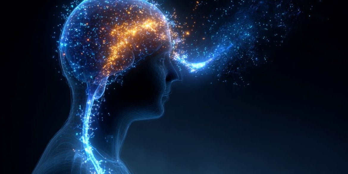 This shows the outline of a person with the brain highlighted.