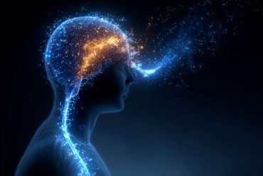 This shows the outline of a person with the brain highlighted.