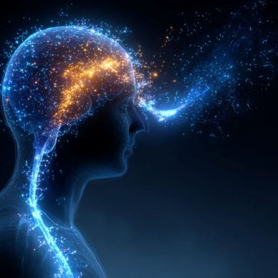 This shows the outline of a person with the brain highlighted.