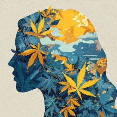 This shows the outline of a person's head filled with cannabis leaves.