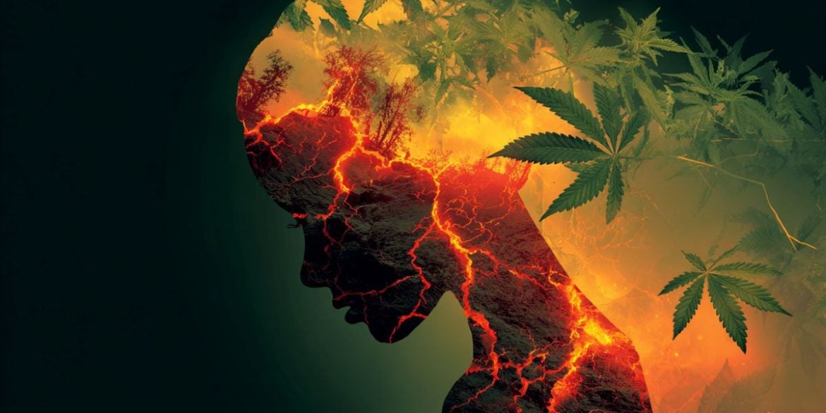 This shows the outline of an inflamed teen head with leaves surrounding it.