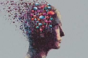 This shows a head with psychedelic images surrounding it, implying DMT's affect on resolving depression.