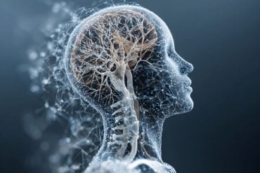 This shows a brain and a person working out.