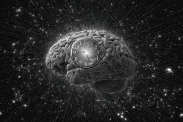 This shows a brain and a clock.