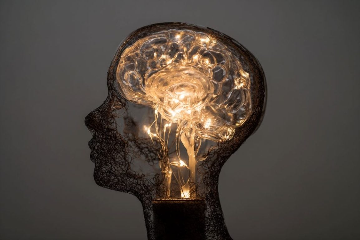 This shows a light in the shape of a brain overlaying a head.