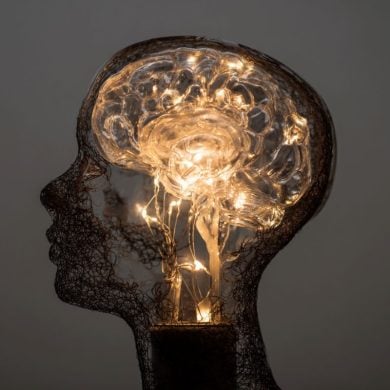 This shows a light in the shape of a brain overlaying a head.