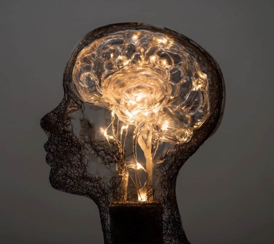 This shows a light in the shape of a brain overlaying a head.