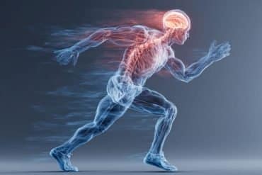 This shows the outline of a person running. Their brain is highlighted, as are their muscles.