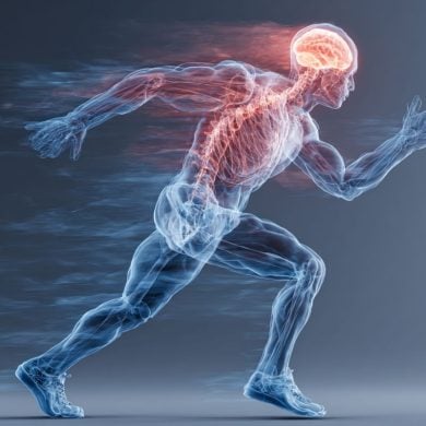 This shows the outline of a person running. Their brain is highlighted, as are their muscles.