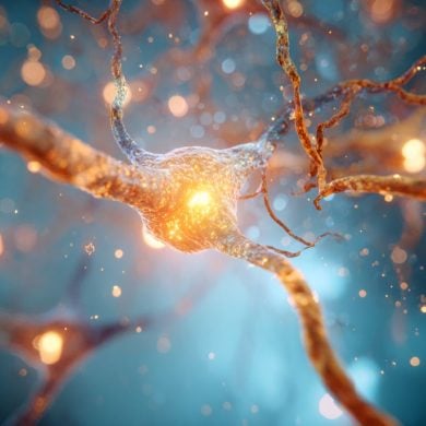 This shows glowing neurons, as though they are the target scientists discovered.