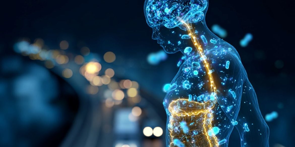 This shows the outline of a person with the intestines and brain glowing, representing the gut-brain axis.