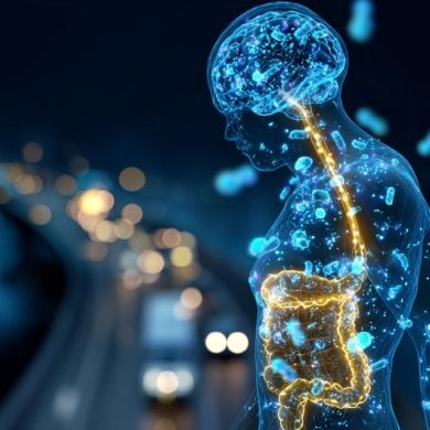 This shows the outline of a person with the intestines and brain glowing, representing the gut-brain axis.