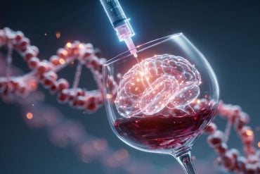 This shows a brain in a wine glass with a syringe above it. Behind is a strand of DNA.